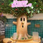 ヒメ日記 2026/01/05 08:01 投稿 和花-NODOKA- luxury aroma 咲