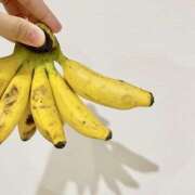 ヒメ日記 2026/01/25 01:00 投稿 和花-NODOKA- luxury aroma 咲