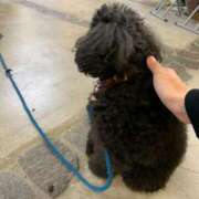 ヒメ日記 2026/02/10 23:01 投稿 和花-NODOKA- luxury aroma 咲