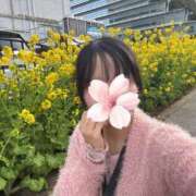 ヒメ日記 2026/03/18 08:02 投稿 和花-NODOKA- luxury aroma 咲