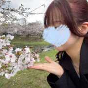 ヒメ日記 2026/04/01 15:02 投稿 和花-NODOKA- luxury aroma 咲