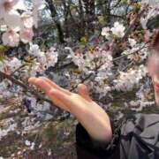 ヒメ日記 2026/04/05 06:00 投稿 和花-NODOKA- luxury aroma 咲