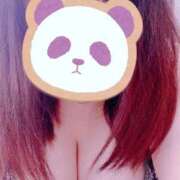 ヒメ日記 2026/01/04 00:17 投稿 アオイ(奥方) 奥様幕府