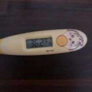 ヒメ日記 2026/01/04 14:27 投稿 アオイ(奥方) 奥様幕府