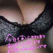 ヒメ日記 2026/01/05 01:07 投稿 アオイ(奥方) 奥様幕府