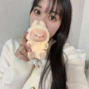 ヒメ日記 2026/02/09 12:34 投稿 るな プレミアム(福原)