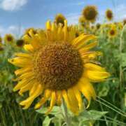 ヒメ日記 2026/02/20 21:27 投稿 新人まな 奥様メモリアル