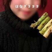 ヒメ日記 2026/02/26 20:35 投稿 ハナ【美巨乳の戯れ】 ドMなバニーちゃん和歌山店