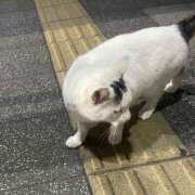 ゆひな あけましておめでとうございます🎍 土浦ハッピーマットパラダイス