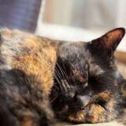 ヒメ日記 2026/01/27 13:27 投稿 ゆひな 土浦ハッピーマットパラダイス