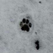 ヒメ日記 2026/02/12 18:12 投稿 ゆひな 土浦ハッピーマットパラダイス