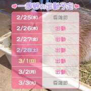 ヒメ日記 2026/02/25 10:07 投稿 ゆひな 土浦ハッピーマットパラダイス
