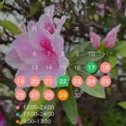ヒメ日記 2026/04/21 01:17 投稿 ゆひな 土浦ハッピーマットパラダイス