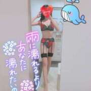 加藤　るな 感謝💕 Amateras～アマテラス～