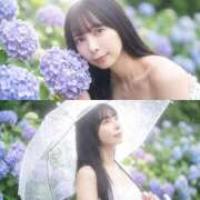 ヒメ日記 2026/07/14 12:32 投稿 加藤　るな Amateras～アマテラス～