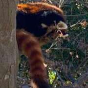 ヒメ日記 2026/01/12 14:38 投稿 みすず ～優しい若妻倶楽部～Mrs.女神