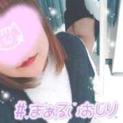 ヒメ日記 2026/01/17 08:40 投稿 ジェーン DAISUKI！(ダイスキ)