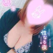 ヒメ日記 2026/02/12 21:10 投稿 ジェーン DAISUKI！(ダイスキ)