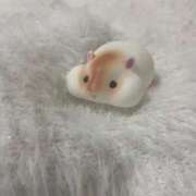 ヒメ日記 2026/02/03 14:08 投稿 みう DAISUKI！(ダイスキ)