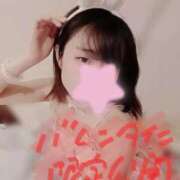 ヒメ日記 2026/02/15 00:39 投稿 こっこ スピードエコ日本橋店