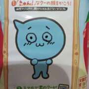 ヒメ日記 2026/02/15 08:19 投稿 こっこ スピードエコ日本橋店