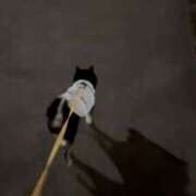 ヒメ日記 2026/02/15 22:01 投稿 リリカ マテリアル