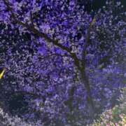 ヒメ日記 2026/04/03 08:16 投稿 リリカ マテリアル