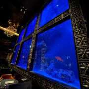 ヒメ日記 2026/04/15 18:01 投稿 リリカ マテリアル