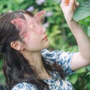 ヒメ日記 2026/06/10 08:13 投稿 美帆 VIP