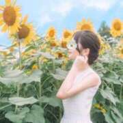 ヒメ日記 2026/08/04 10:43 投稿 美帆 VIP