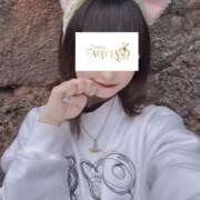 ヒメ日記 2026/03/27 20:14 投稿 しおん Tokyo fairy land-東京フェアリーランド-