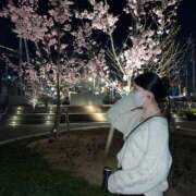 ヒメ日記 2026/01/16 15:57 投稿 みかな 京都出張メンズエステChou Chou（シュシュ)