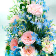 ヒメ日記 2026/03/11 17:46 投稿 瞳 熟女待機所 厚木店