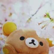 ヒメ日記 2026/03/13 10:46 投稿 瞳 熟女待機所 厚木店