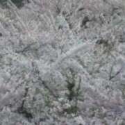 ヒメ日記 2026/03/16 23:06 投稿 瞳 熟女待機所 厚木店