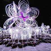 ヒメ日記 2026/03/26 00:46 投稿 瞳 熟女待機所 厚木店