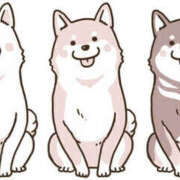 ヒメ日記 2026/04/11 20:06 投稿 瞳 熟女待機所 厚木店