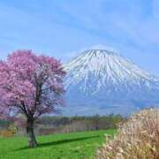 ヒメ日記 2026/04/17 15:25 投稿 瞳 熟女待機所 厚木店