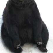 ヒメ日記 2026/04/17 15:45 投稿 瞳 熟女待機所 厚木店