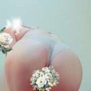 ヒメ日記 2026/09/11 23:10 投稿 しょう 横浜熟女MAX