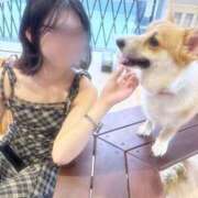 ひかり 明後日‼️ スパーク梅田店