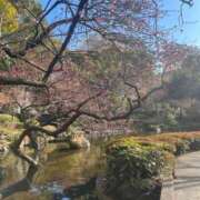 れいか お久しぶりです💦 清楚