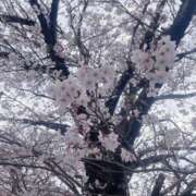 れいか 明日は出勤日♫ 清楚