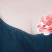 ヒメ日記 2026/05/17 23:02 投稿 めぐ 奥様特急　上野・鶯谷店