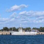 ヒメ日記 2026/01/22 17:21 投稿 こゆき 西船人妻花壇