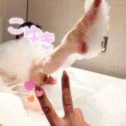 ヒメ日記 2026/01/27 18:37 投稿 こゆき 西船人妻花壇