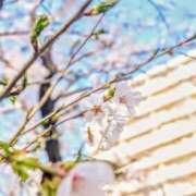 ヒメ日記 2026/03/27 17:08 投稿 こゆき 西船人妻花壇