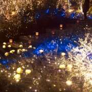 ヒメ日記 2025/12/29 04:58 投稿 沙織-さおり 熟女10000円デリヘル横浜