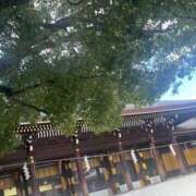 ヒメ日記 2026/01/05 23:01 投稿 白石なぎ ミセスレディ