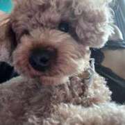 ヒメ日記 2026/01/20 20:46 投稿 白石なぎ ミセスレディ